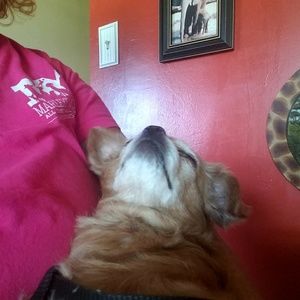 Meet your Posher, Pam